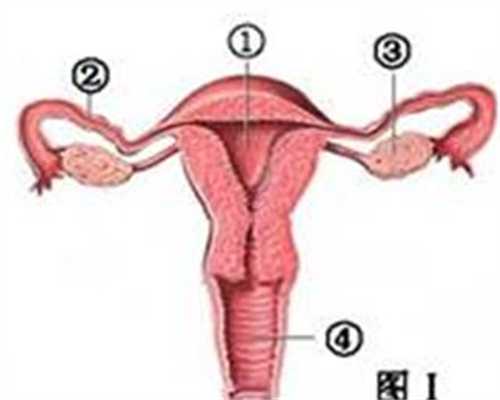 合法代孕_优生优育关键在男人还是女人