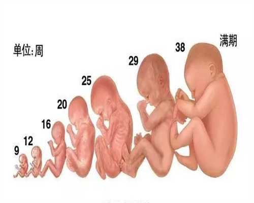 深圳代孕能决定性别吗_国内专业的合法代孕