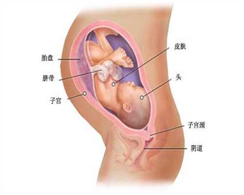 有代孕生孩子的吗_上海怀孕四十天能做人流吗