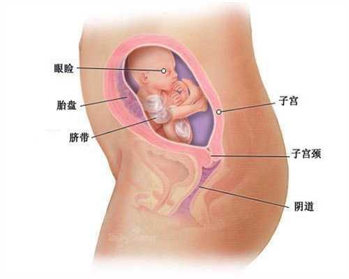 深圳 哪个医院能代孕_详解孕早期胎儿每周各易出