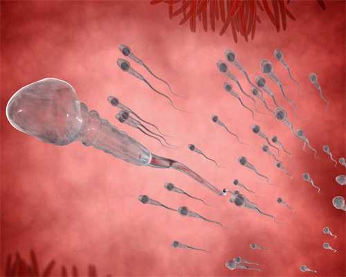 合法代孕网-代孕网怎么样-试管胚胎能代孕吗